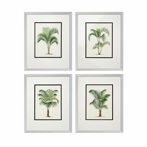 Купить Набор постеров Prints Palms set of 4 в интернет-магазине roooms.ru