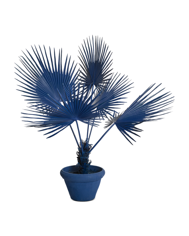 Купить Искуственный цветок Plant Fan Palm n Pot в интернет-магазине roooms.ru