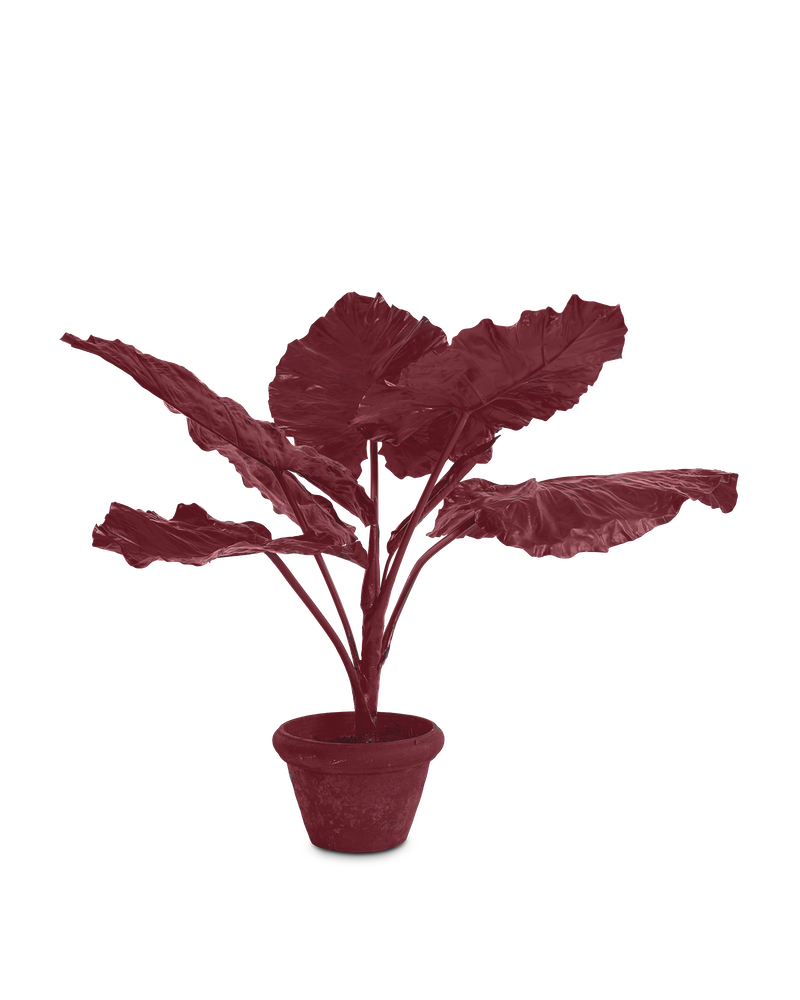 Купить Искуственный цветок Plant Taro In Pot Dark Red в интернет-магазине roooms.ru