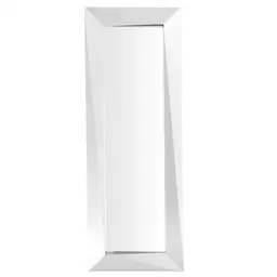 polished stainless steel