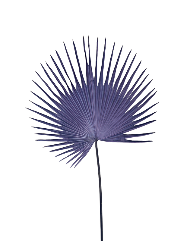 Dark blue Plastic leafIron inside plastic stem