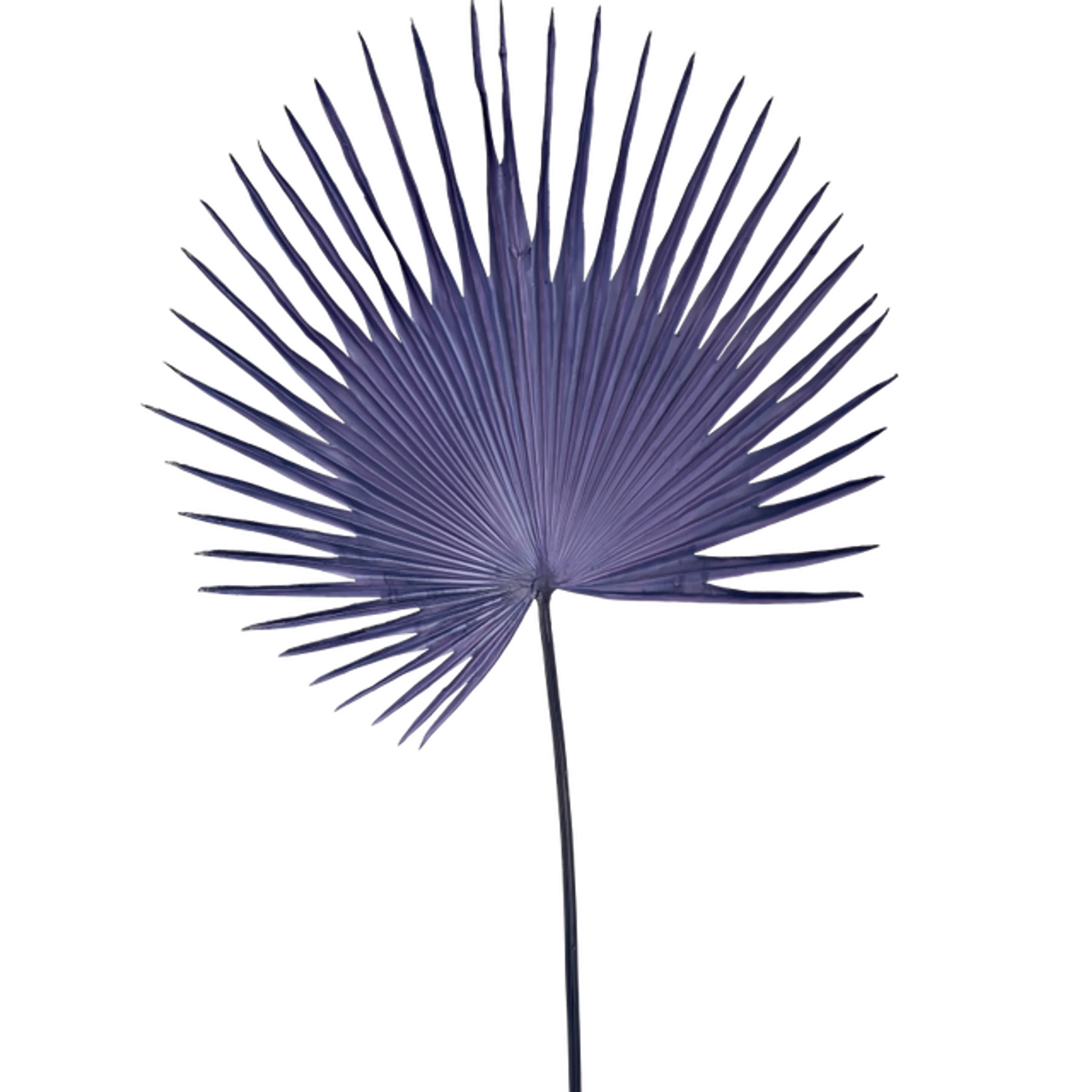 Купить Искуственная ветка Fan Palm Leaf в интернет-магазине roooms.ru