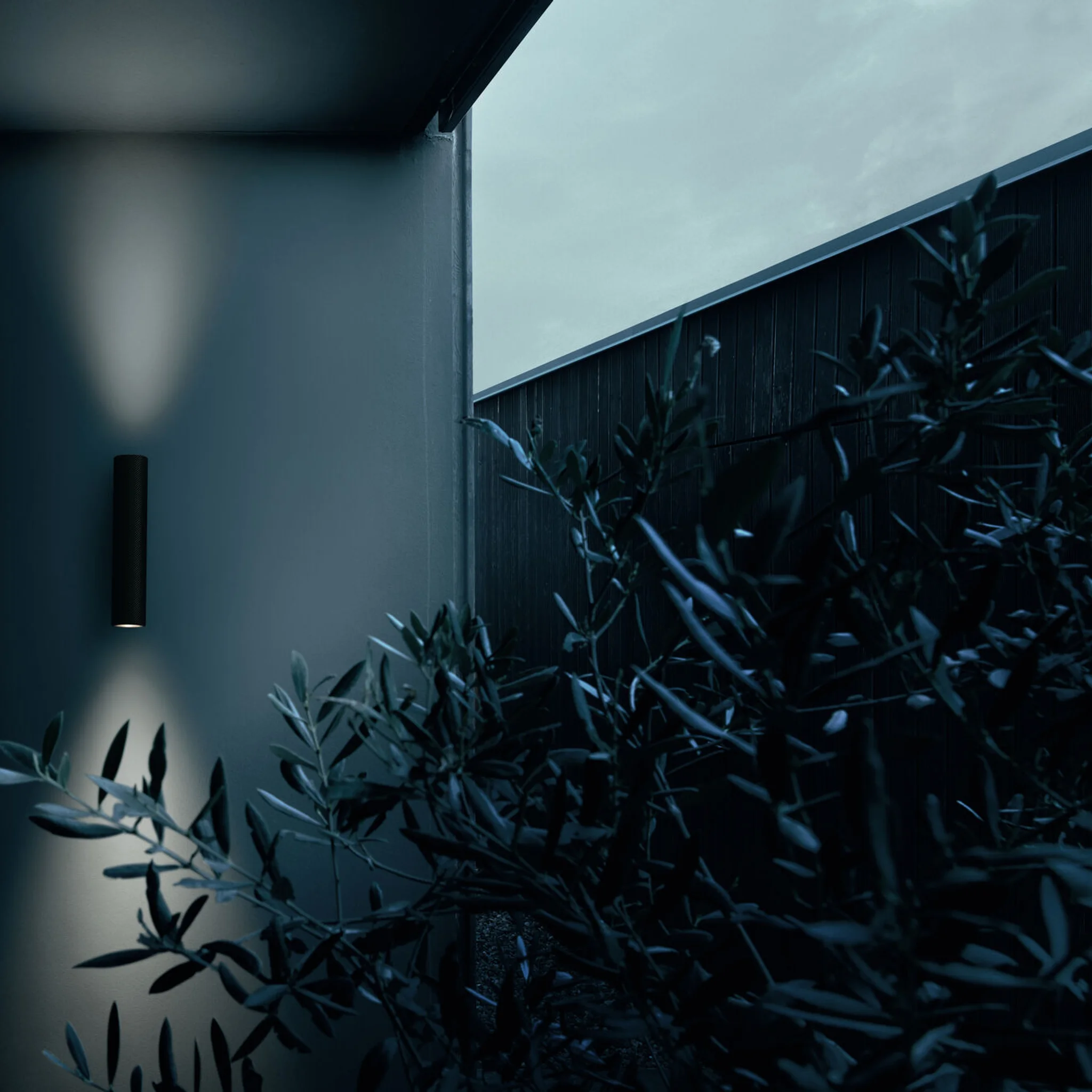 Купить Уличное бра Flauta Spiga 1 Dimmable DALI в интернет-магазине roooms.ru