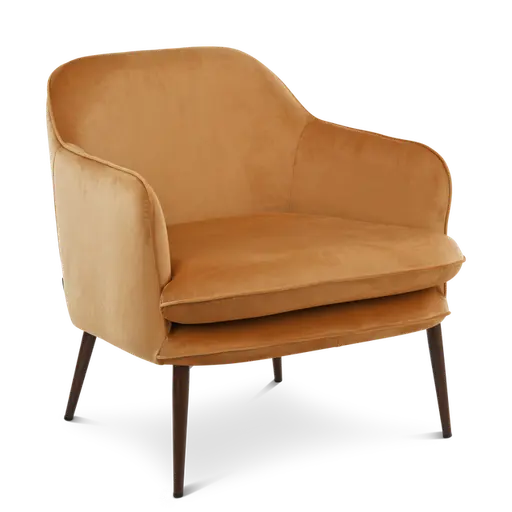 Купить Кресло Fauteuil Charmy Velvet в интернет-магазине roooms.ru