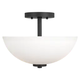 Midnight Black LED Bulb(s) Included