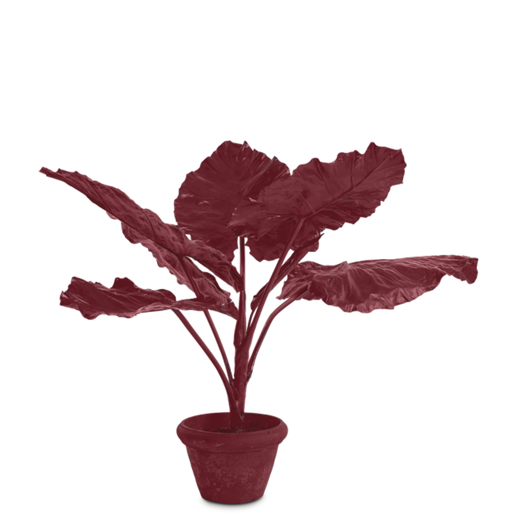 Купить Искуственный цветок Taro in Pot в интернет-магазине roooms.ru