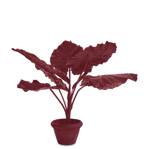Купить Искуственный цветок Taro in Pot в интернет-магазине roooms.ru