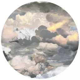 11 ft 5 in,Light,Wool