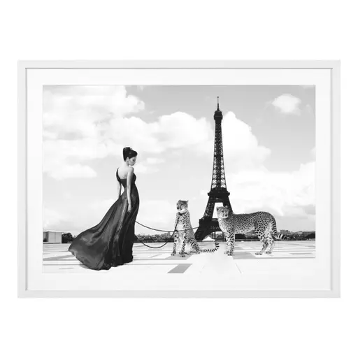 Купить Постер Print Trocadero View в интернет-магазине roooms.ru