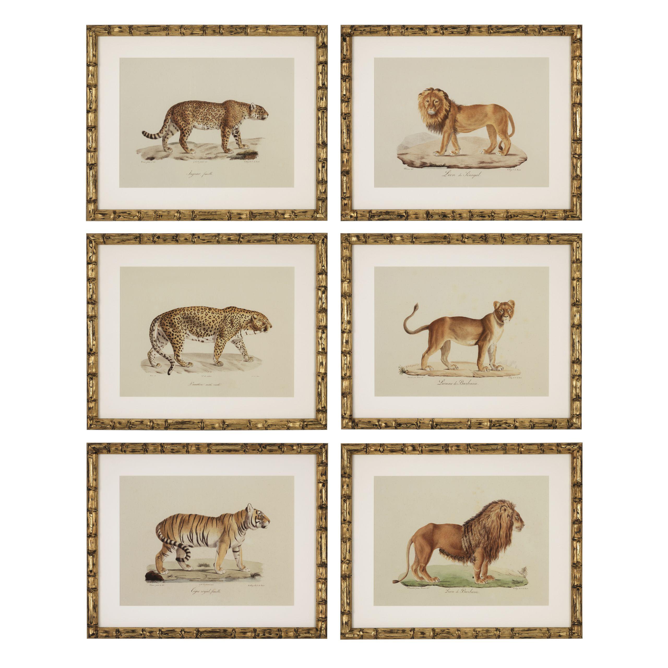 Купить Набор постеров Prints Lion, Tigre, Jaguar set of 6 в интернет-магазине roooms.ru