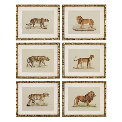 Купить Набор постеров Prints Lion, Tigre, Jaguar set of 6 в интернет-магазине roooms.ru