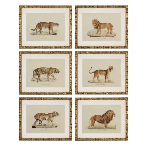 Купить Набор постеров Prints Lion, Tigre, Jaguar set of 6 в интернет-магазине roooms.ru