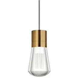 Aged Brass Black/White LED 90 CRI 3000K 120V (T24)