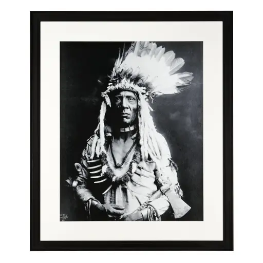 Купить Постер Print Weasel Tail в интернет-магазине roooms.ru