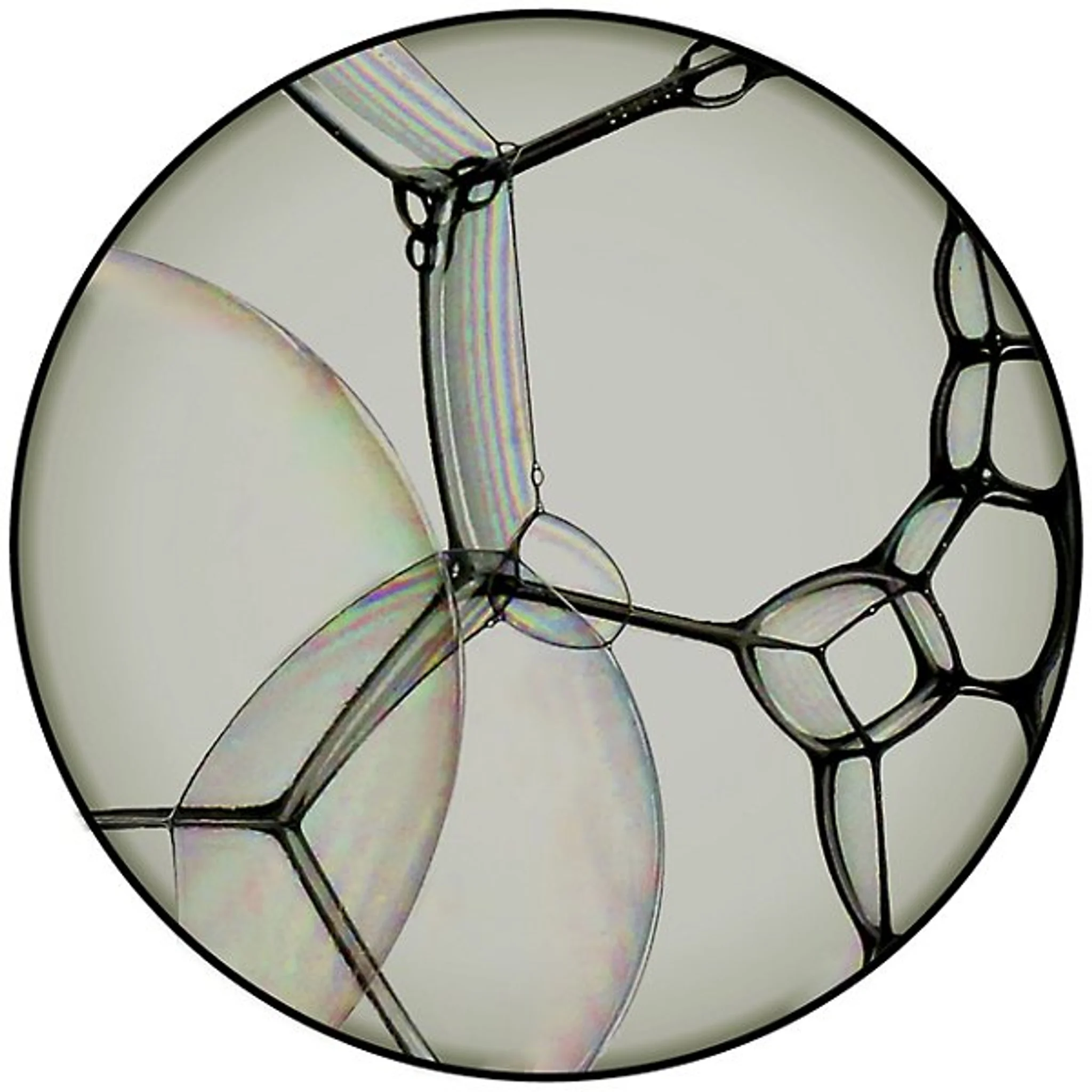 Купить Коврик Bubble Zoom Round Area Rug в интернет-магазине roooms.ru