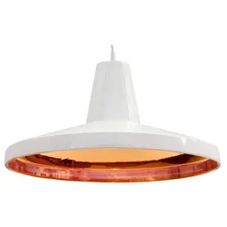 20 in,Glossy Bronze, 2100 (Warm), 1 (Included)