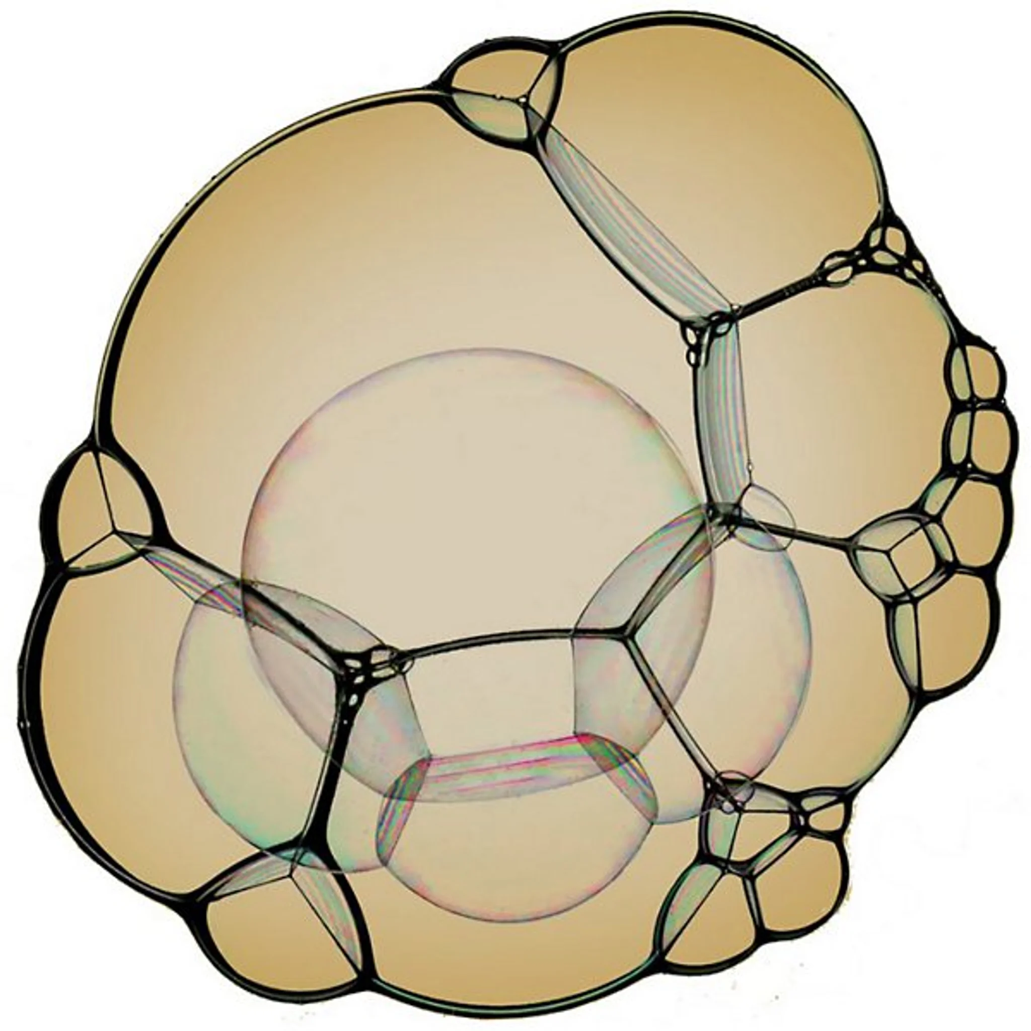 Купить Коврик Bubble Area Rug в интернет-магазине roooms.ru