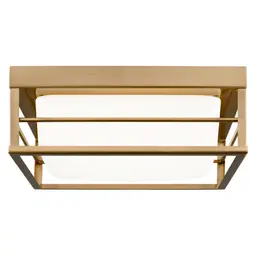 Satin Brass Integrated LED Module(s)
