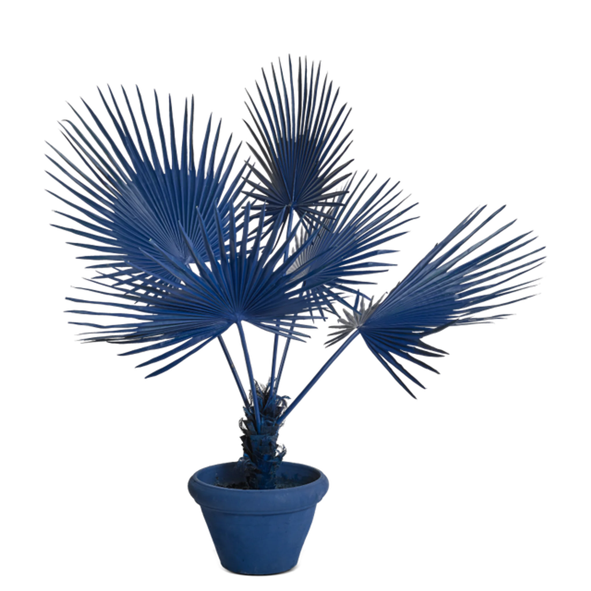 Купить Искуственный цветок Fan Palm in Pot в интернет-магазине roooms.ru