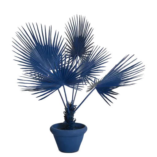 Купить Искуственный цветок Fan Palm in Pot в интернет-магазине roooms.ru