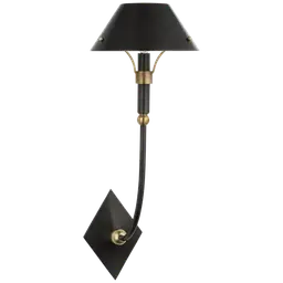 Bronze and Hand-Rubbed Antique Brass Bronze