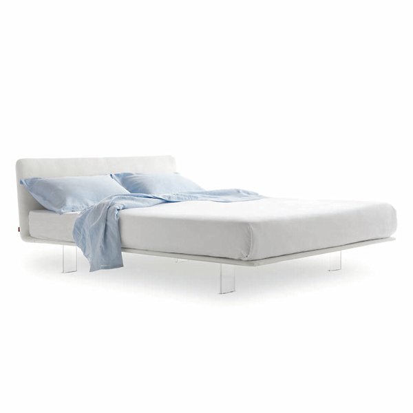 Queen,Artepelle 01 White