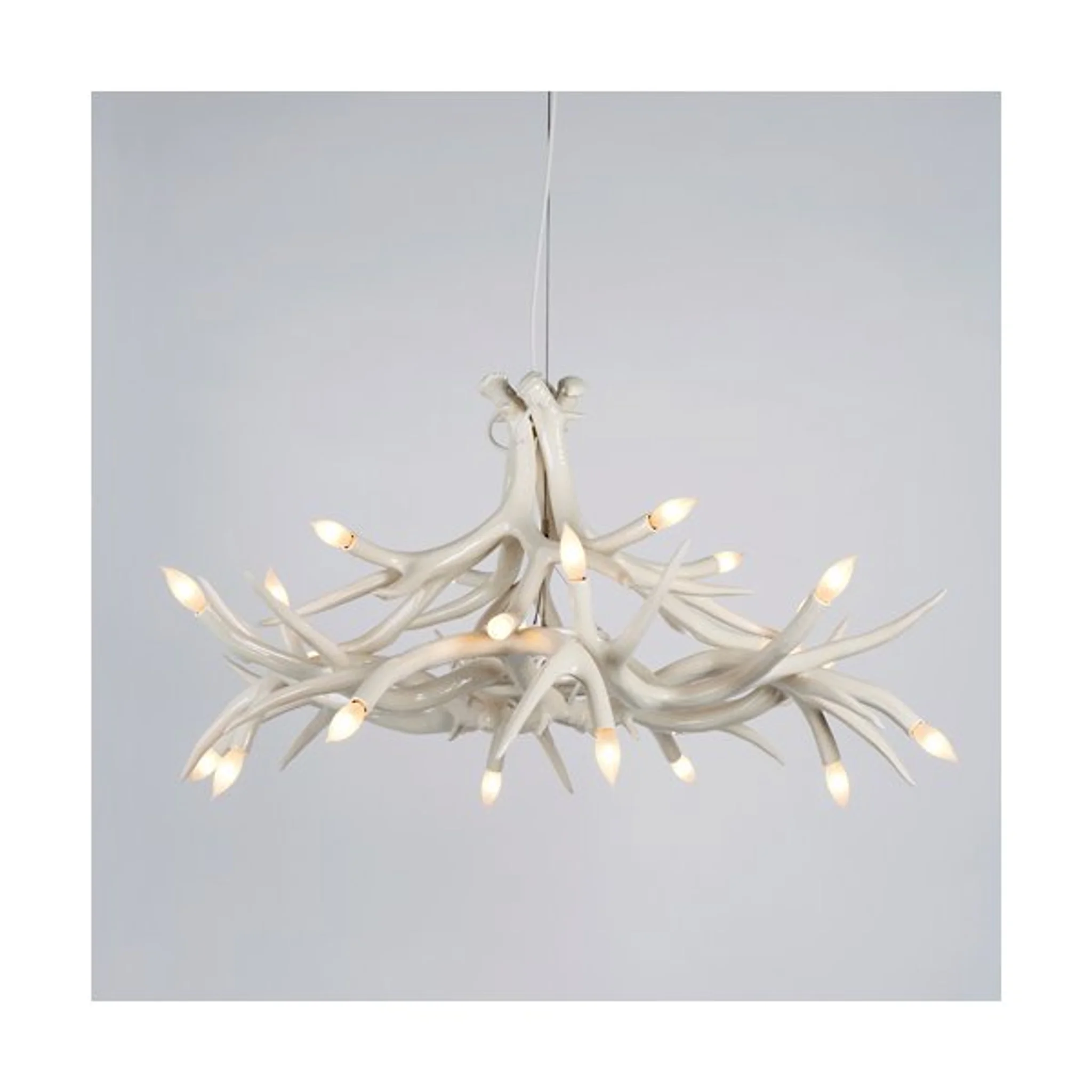 Купить Люстра Superordinate Antler Chandelier - 12 Antlers в интернет-магазине roooms.ru