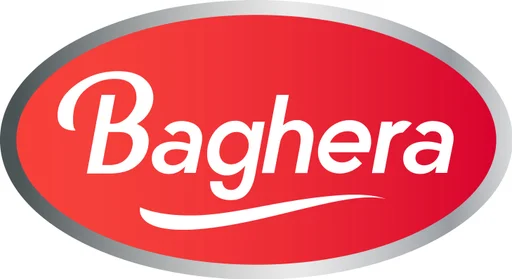 Логотип бренда Baghera