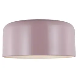Rose Bulb(s) Not Included