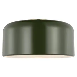 Olive LED Bulb(s) Included