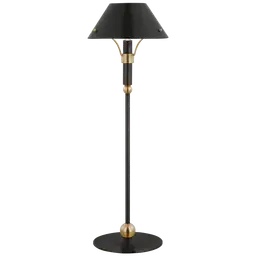 Bronze and Hand-Rubbed Antique Brass Bronze