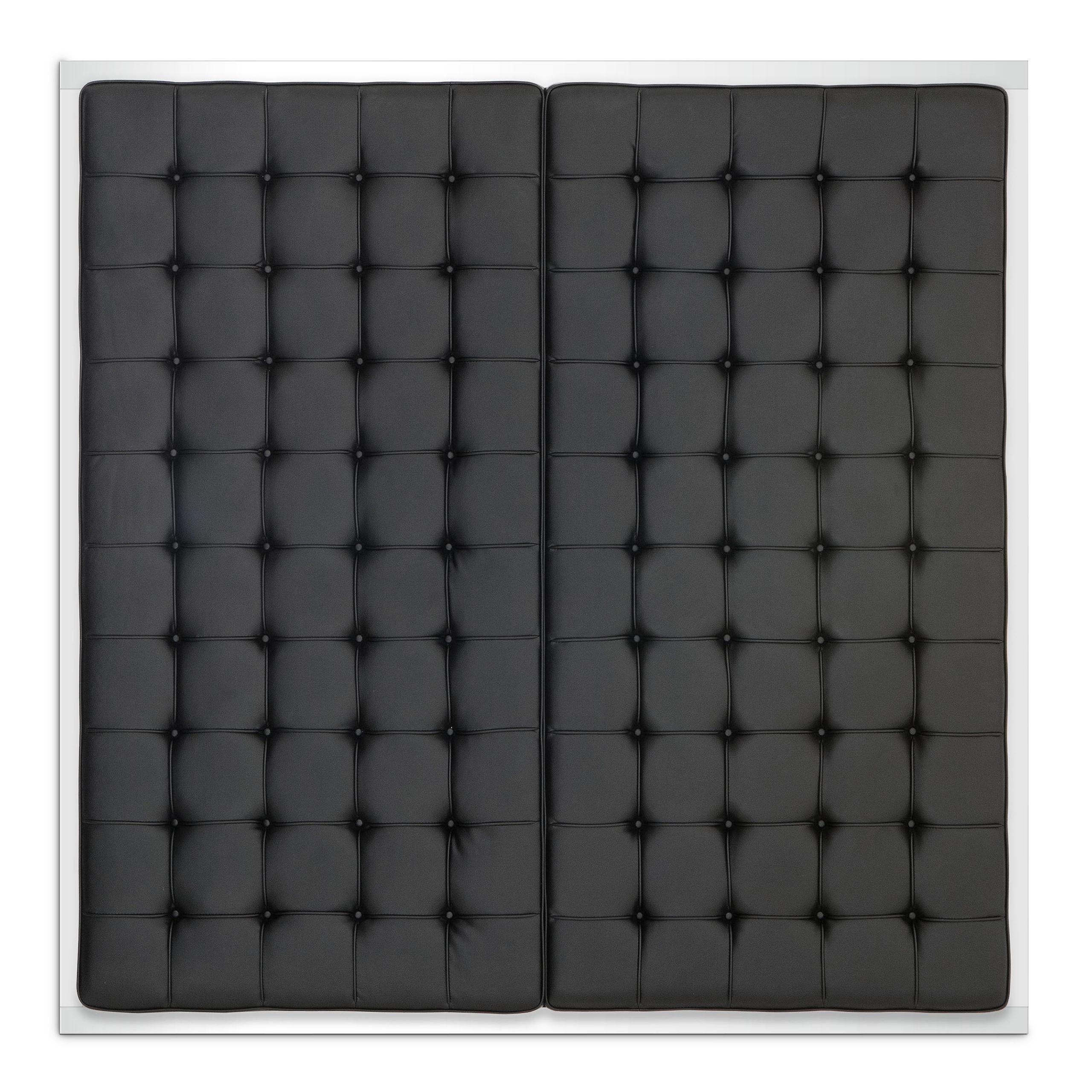 polished stainless steel | black leather look