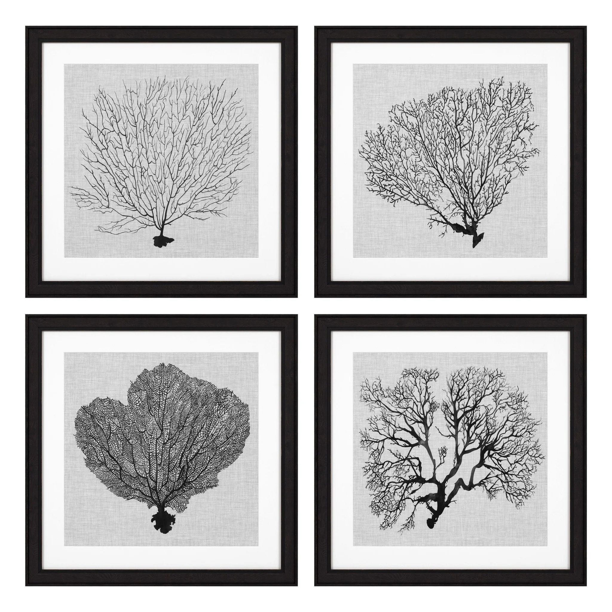 Купить Набор постеров Prints Shadow Sea Fans set of 4 в интернет-магазине roooms.ru