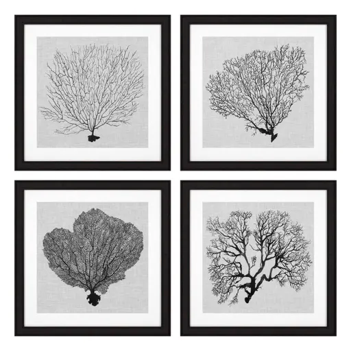 Купить Набор постеров Prints Shadow Sea Fans set of 4 в интернет-магазине roooms.ru