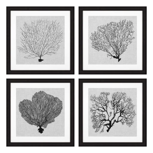 Купить Набор постеров Prints Shadow Sea Fans set of 4 в интернет-магазине roooms.ru