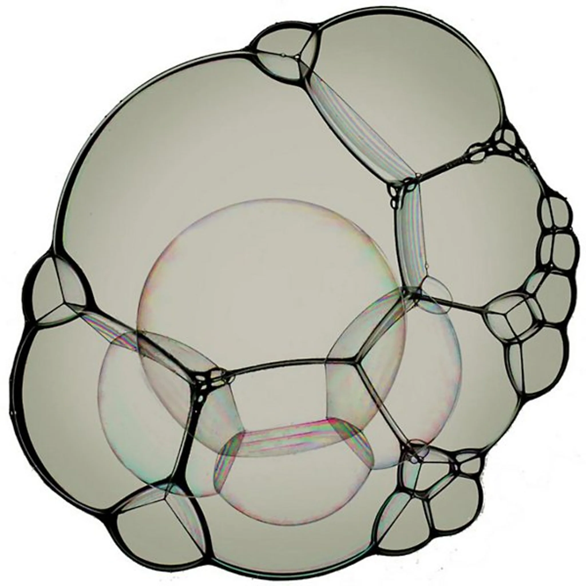 Купить Коврик Bubble Area Rug в интернет-магазине roooms.ru