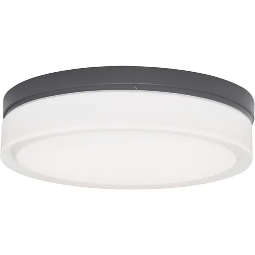 Купить Уличный накладной светильник Cirque Large Outdoor Flush Mount в интернет-магазине roooms.ru