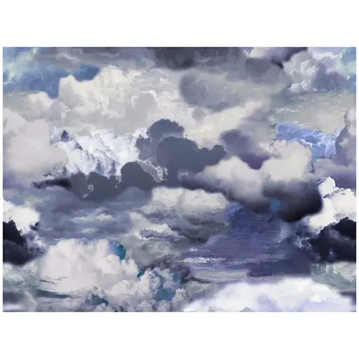 Купить Коврик Walking On Clouds Area Rug в интернет-магазине roooms.ru