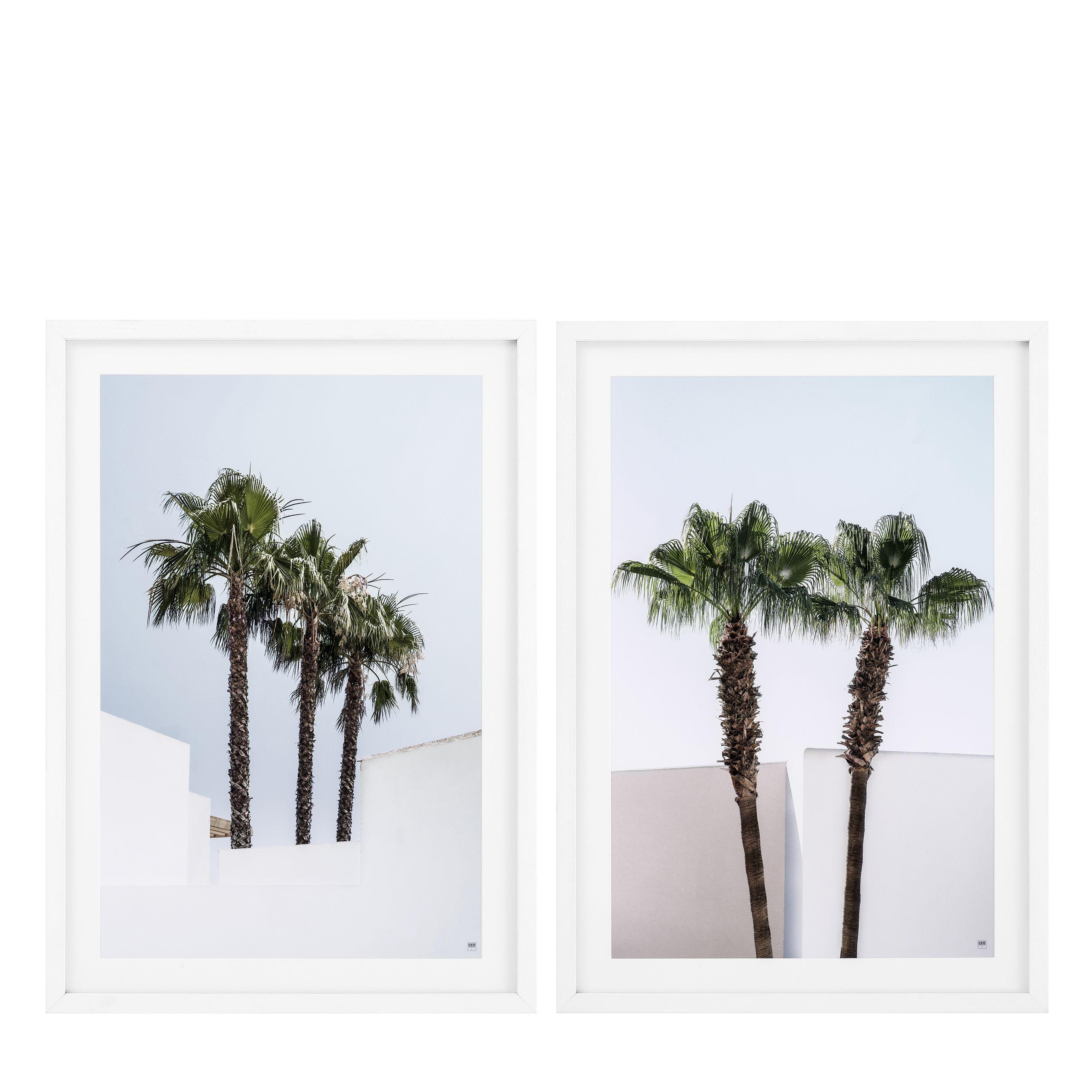 Купить Набор постеров Prints Palm Trees set of 2 в интернет-магазине roooms.ru