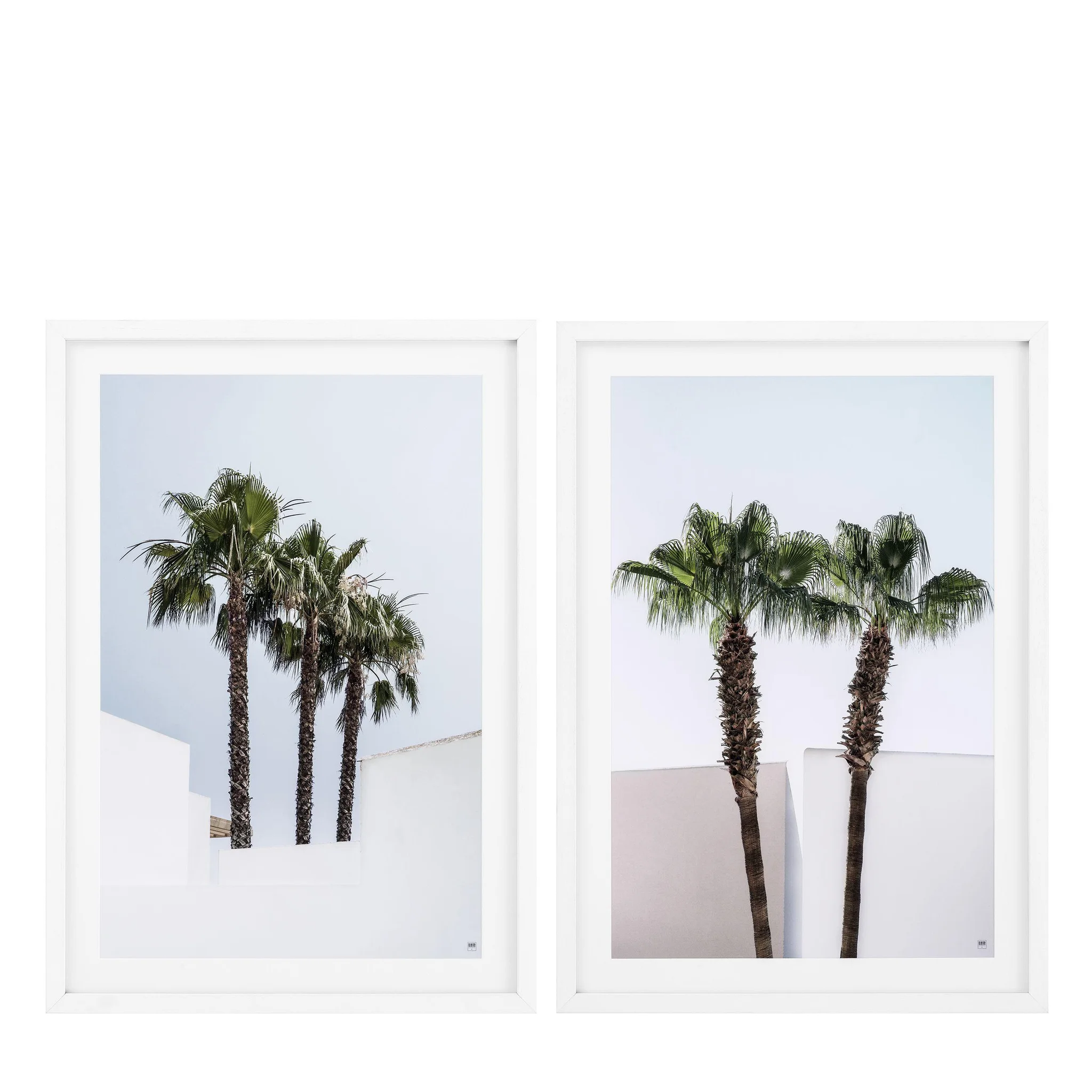 Купить Набор постеров Prints Palm Trees set of 2 в интернет-магазине roooms.ru