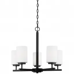 Midnight Black Bulb(s) Not Included