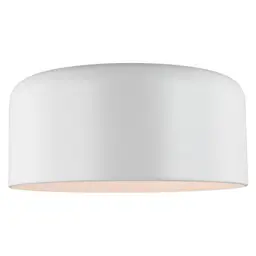 Matte White Bulb(s) Not Included