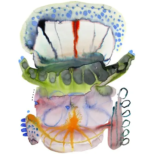 Купить Коврик Bumblebee Area Rug в интернет-магазине roooms.ru