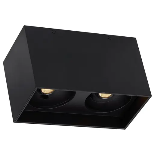 Купить Накладной светильник Exo Dual Flush Mount в интернет-магазине roooms.ru