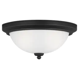 Midnight Black Bulb(s) Not Included