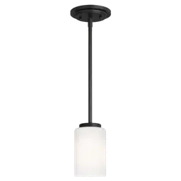 Midnight Black LED Bulb(s) Included