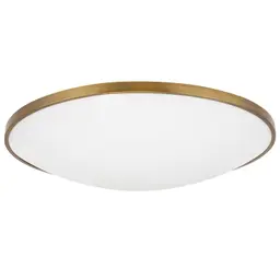 Aged Brass 24" Diameter LED 90 CRI 2700K 120V