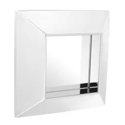 polished stainless steel