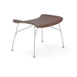 Ash Dark Wood with Chrome