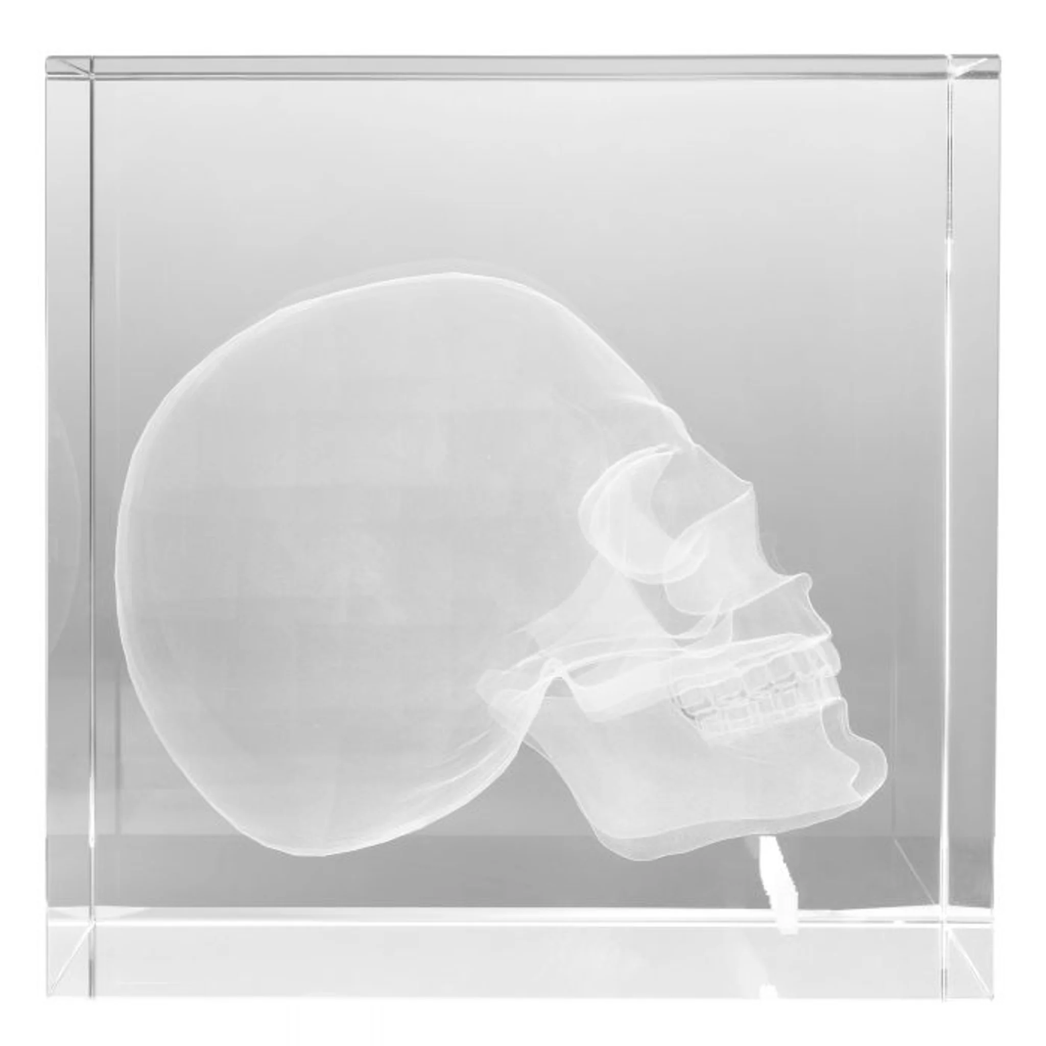 Купить Статуэтка Object Attitude в интернет-магазине roooms.ru